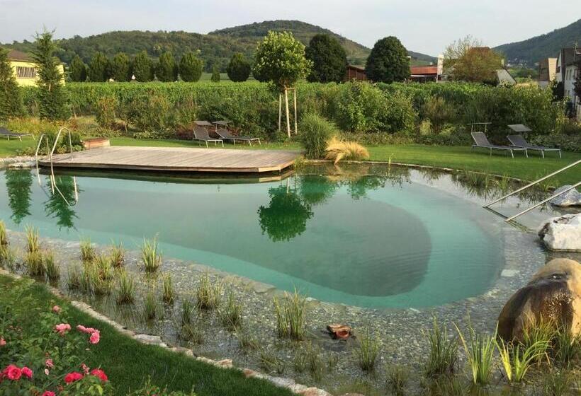 호텔 Weinresidenz Sonnleitner   Adults Only