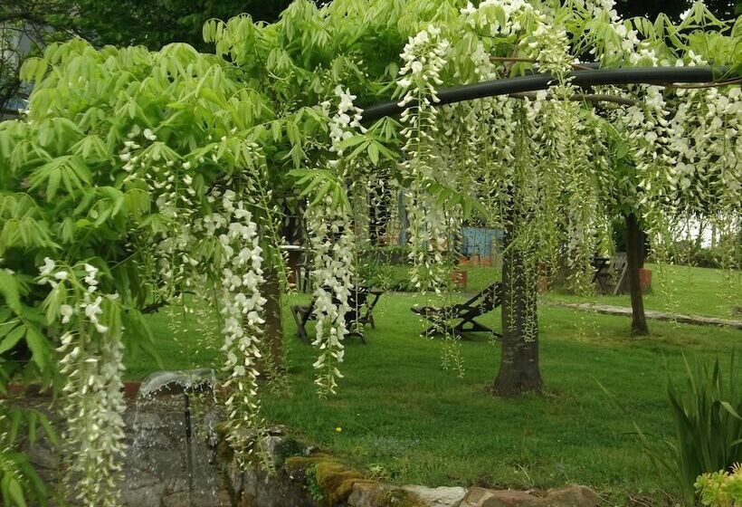 Son De Mar Hotel Rural & Apartamento