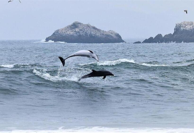 هاستل Waves Surf Camp Peru