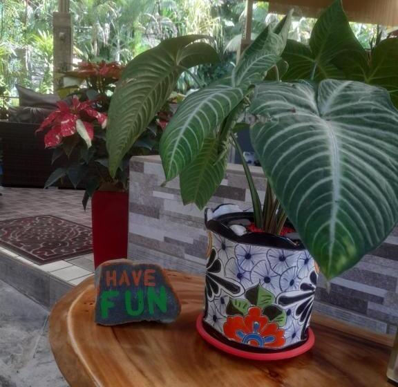 تختخواب و صبحانه Coyaba Tropical Elegant Adult Guesthouse