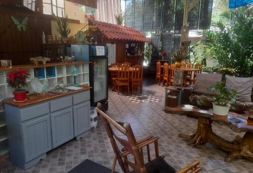 تختخواب و صبحانه Coyaba Tropical Elegant Adult Guesthouse