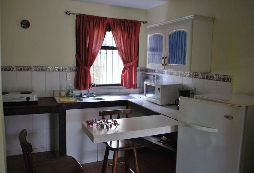 تختخواب و صبحانه Dos Palmas Studio Apartments