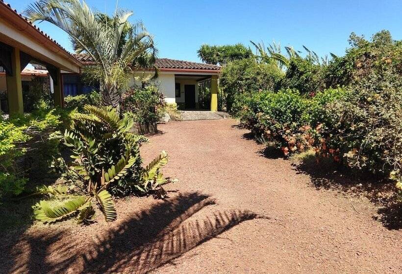 تختخواب و صبحانه Dos Palmas Studio Apartments