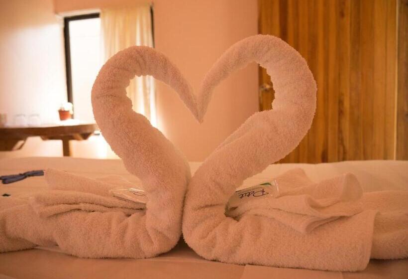 تختخواب و صبحانه Monte Los Lirios Lodge