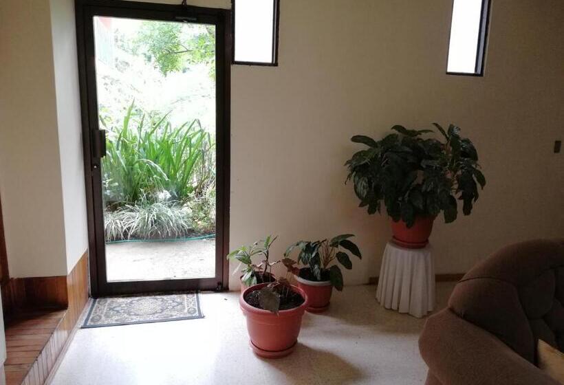 تختخواب و صبحانه Monte Los Lirios Lodge