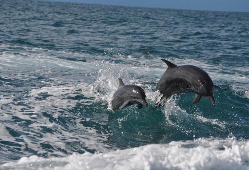 مبيت وإفطار Natura Lodges