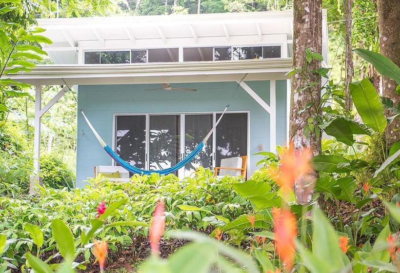 Bed and Breakfast Tree Of Life Cabinas