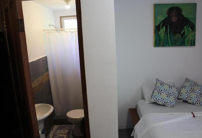 Cabinas Playa Surf Hostel