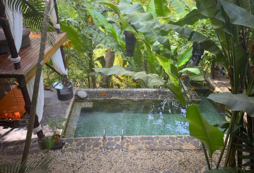 هتل Canaima Chill House