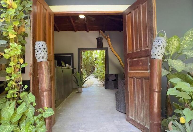 هتل Canaima Chill House