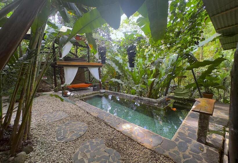 هتل Canaima Chill House