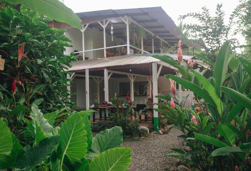 هتل Casa Bohö