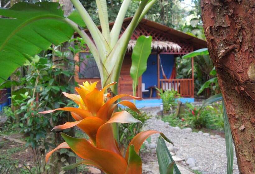 هتل Casitas Las Flores