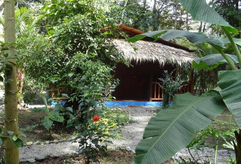هتل Casitas Las Flores
