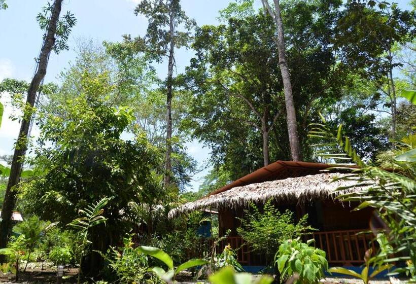هتل Casitas Las Flores