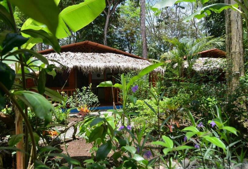 هتل Casitas Las Flores