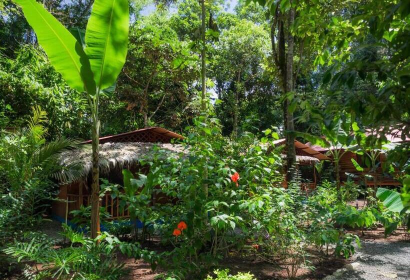هتل Casitas Las Flores
