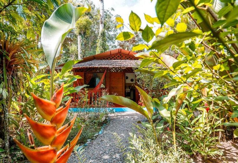 هتل Casitas Las Flores