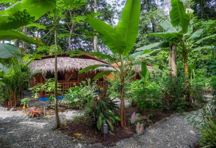 هتل Casitas Las Flores