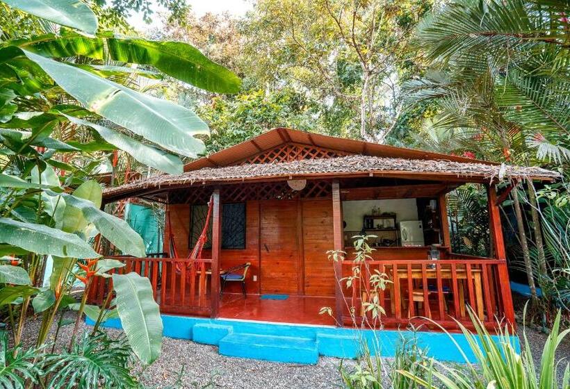 هتل Casitas Las Flores