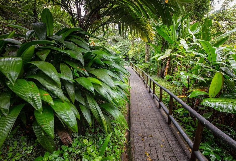 فندق Lost Iguana Resort And Spa