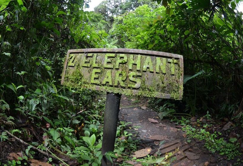 فندق Lost Iguana Resort And Spa