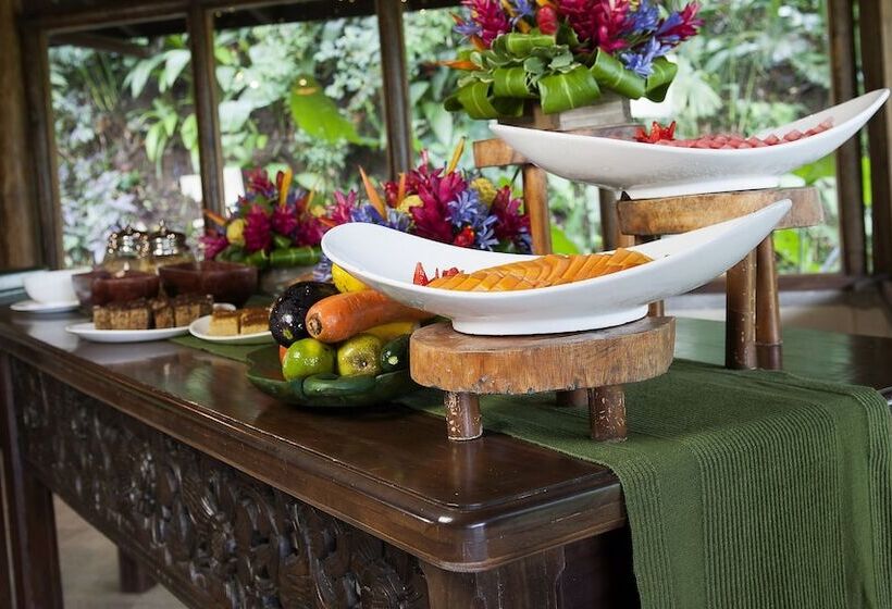 فندق Lost Iguana Resort And Spa