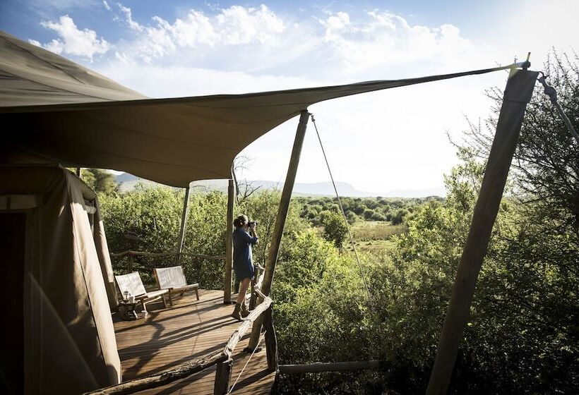 酒店 Marataba Safari Lodge