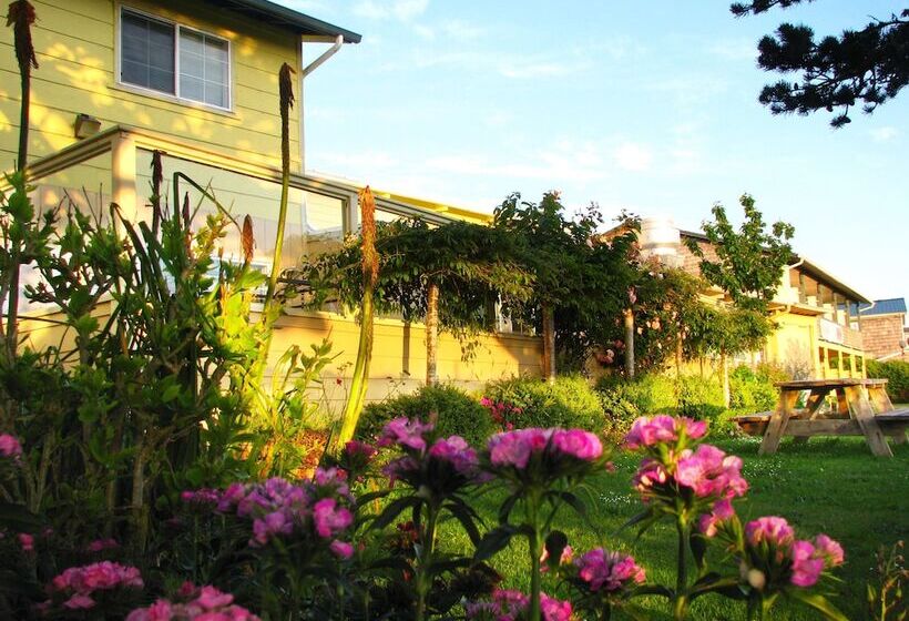 酒店 Pacific City Inn