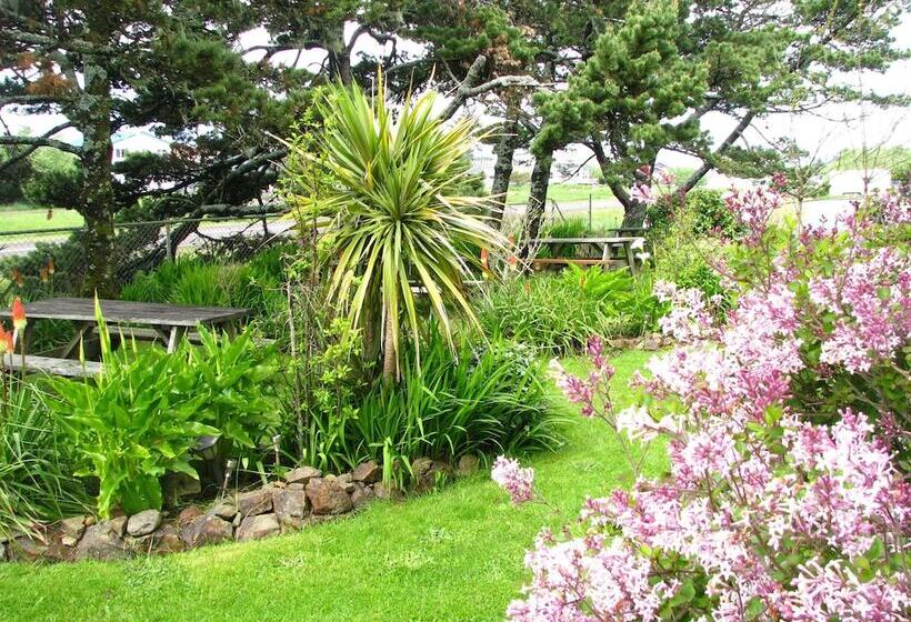 酒店 Pacific City Inn