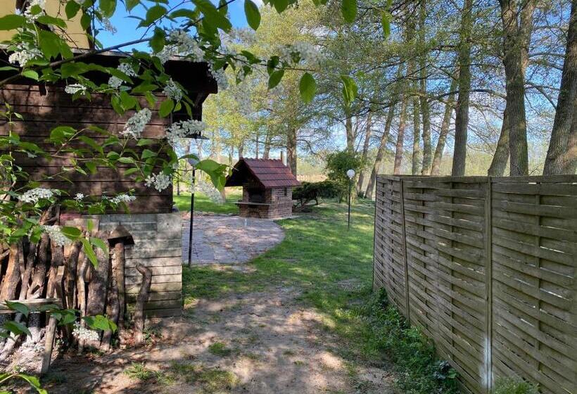 בית מלון כפרי Seehof Netzen