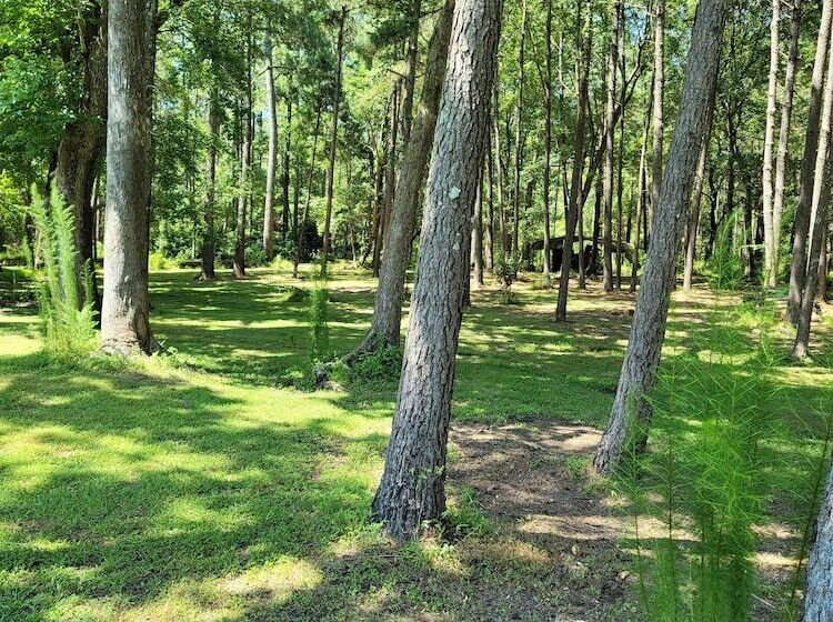 בית מלון כפרי The White House On Freedom Way