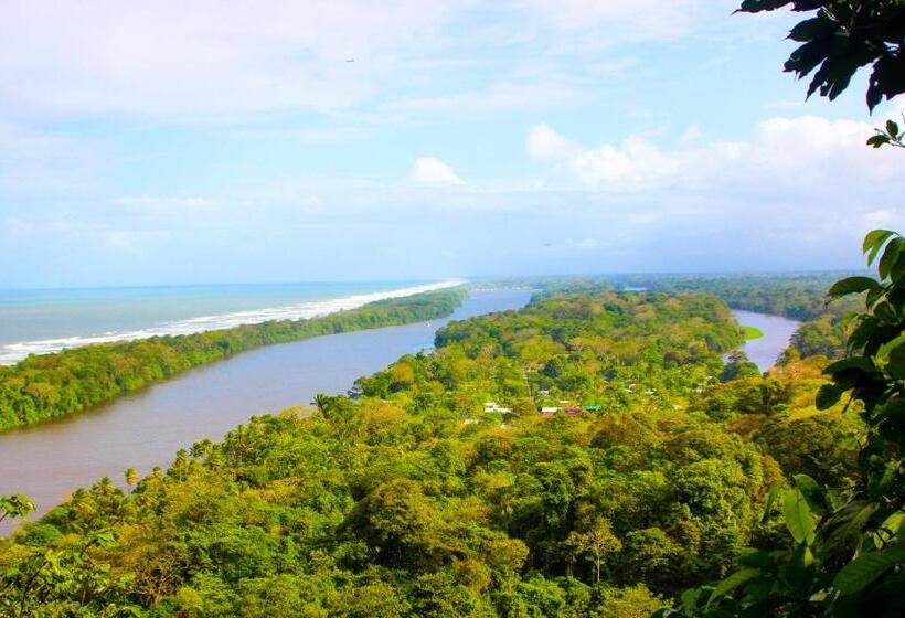 هتل Tortuguero Beachfront