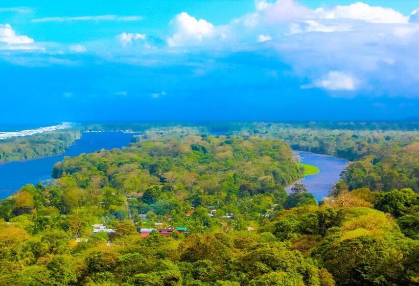 هتل Tortuguero Beachfront