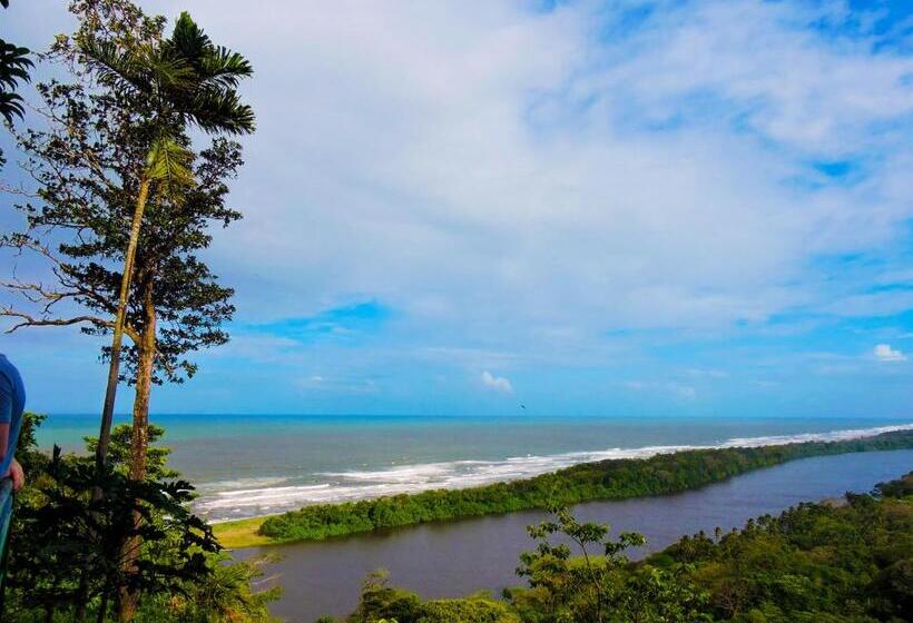 هتل Tortuguero Beachfront