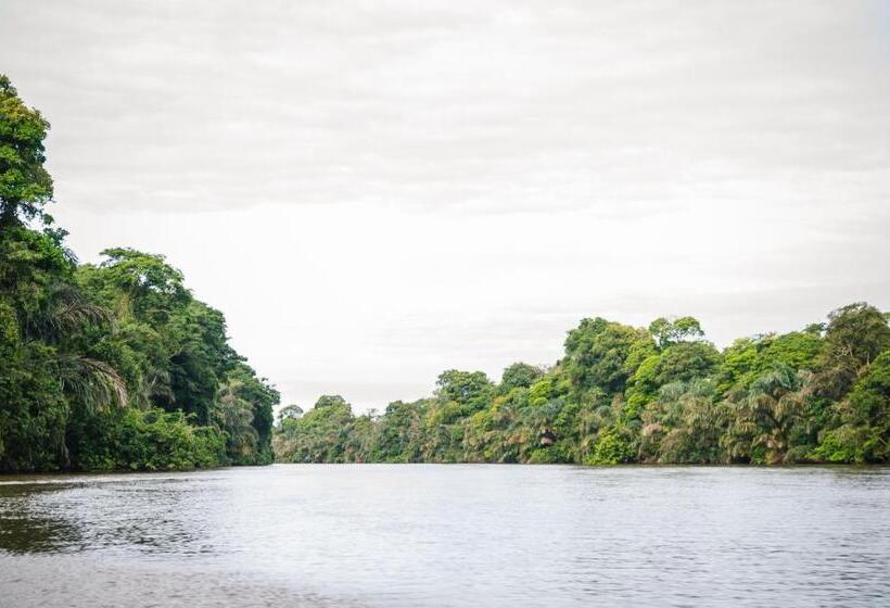 هتل Tortuguero Beachfront