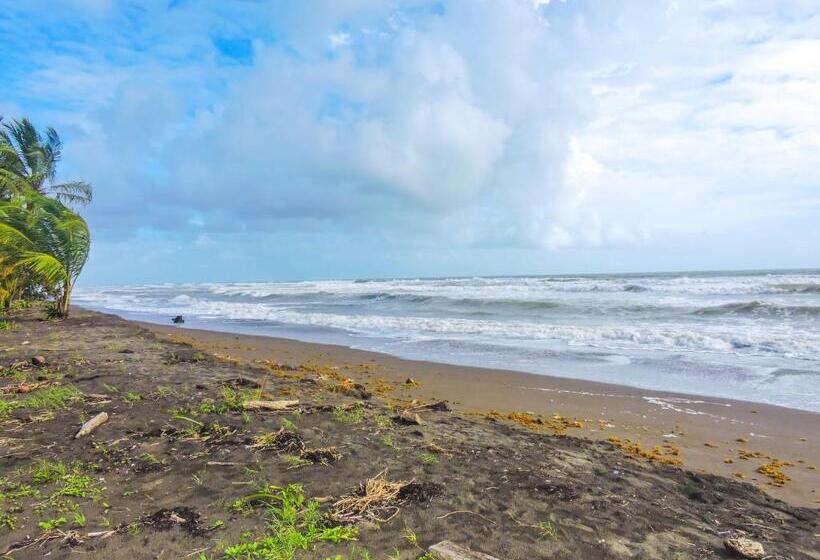 هتل Tortuguero Beachfront