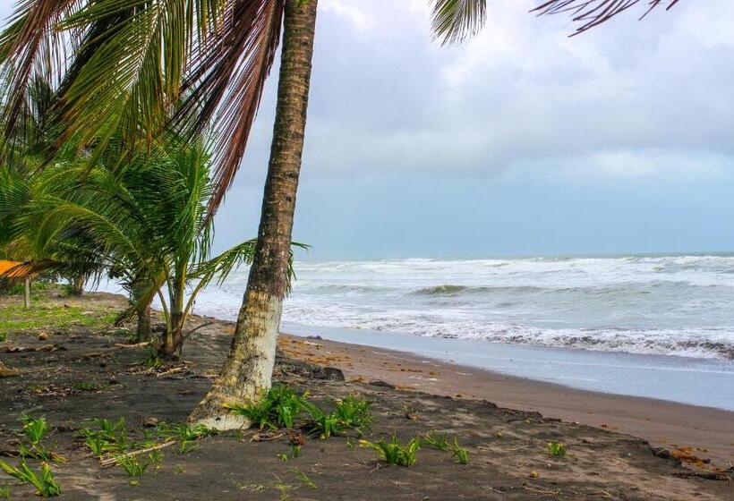 هتل Tortuguero Beachfront
