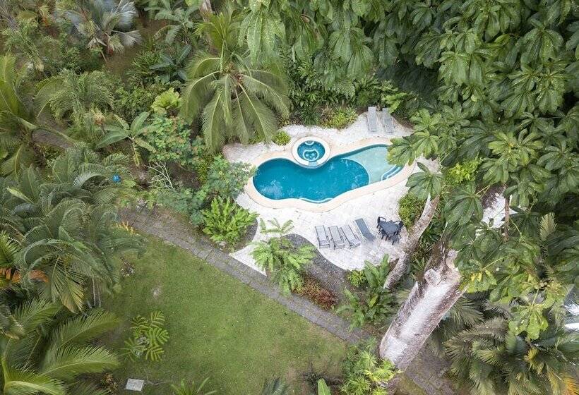 استراحتگاه El Nido Jungle Lodge