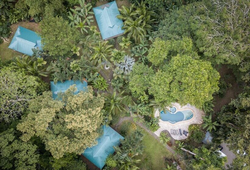 استراحتگاه El Nido Jungle Lodge