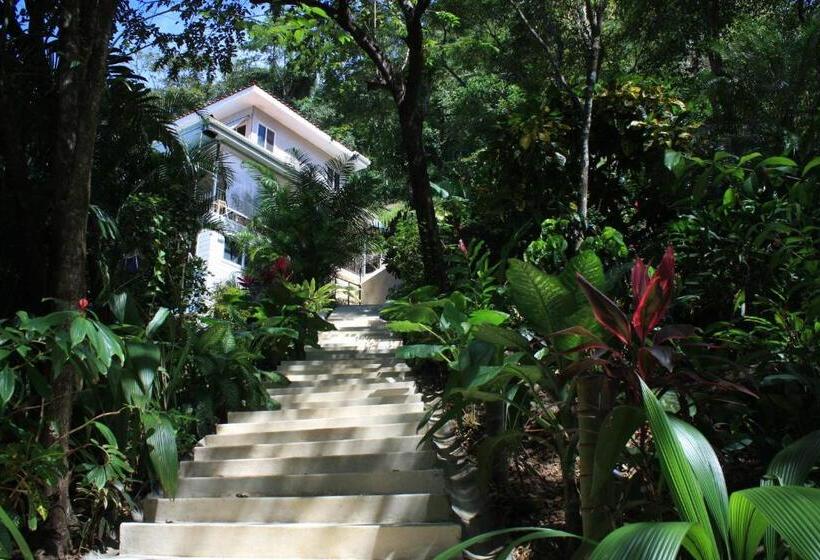 استراحتگاه Funky Monkey Lodge