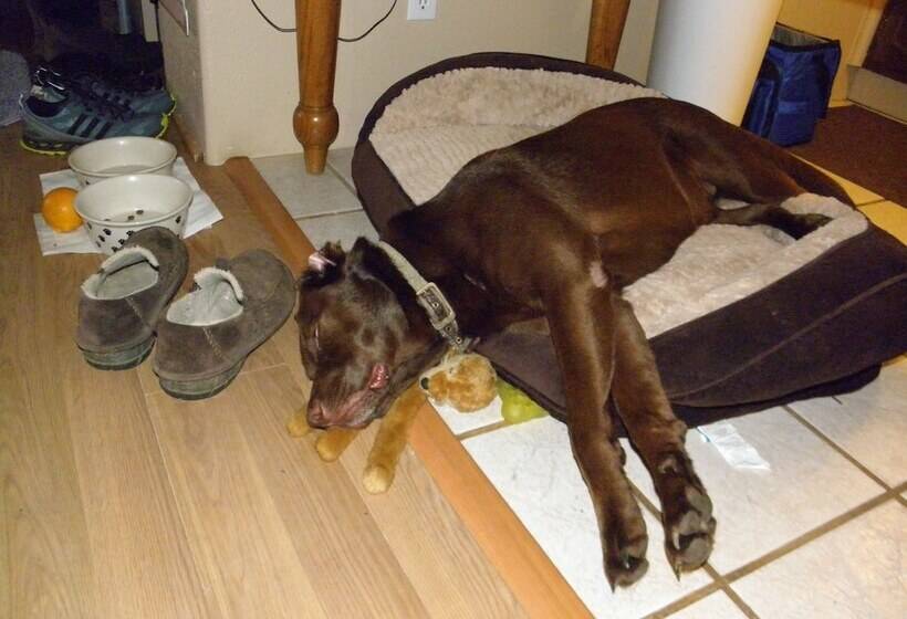 Sea Haven Motel & Guest House