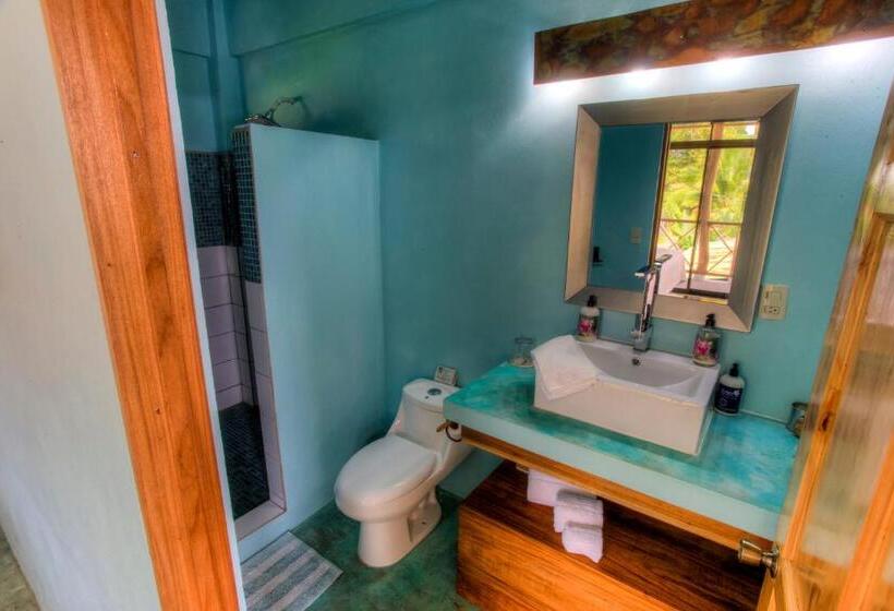 Sueño Grande B&b