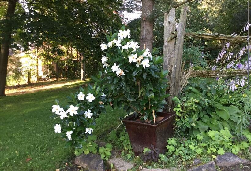 Отель Burleys Gardens And Suite
