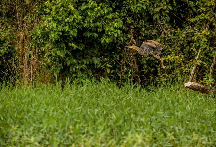 هتل El Icaco Tortuguero