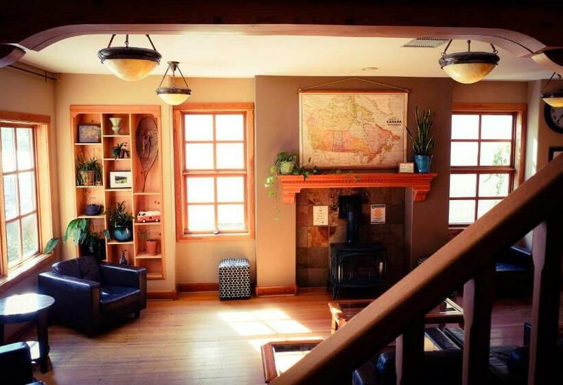 ホテル Dancing Bear Inn Hostel