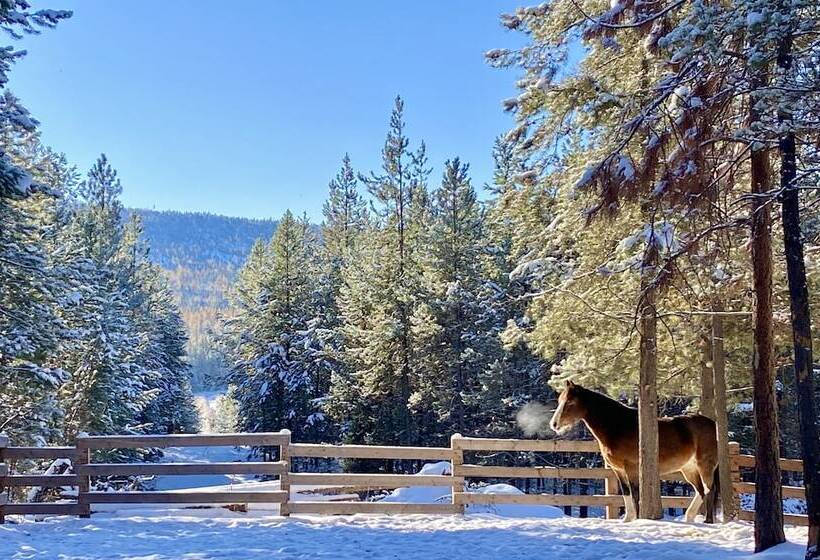 בית מלון כפרי Dream Haven Guest Ranch