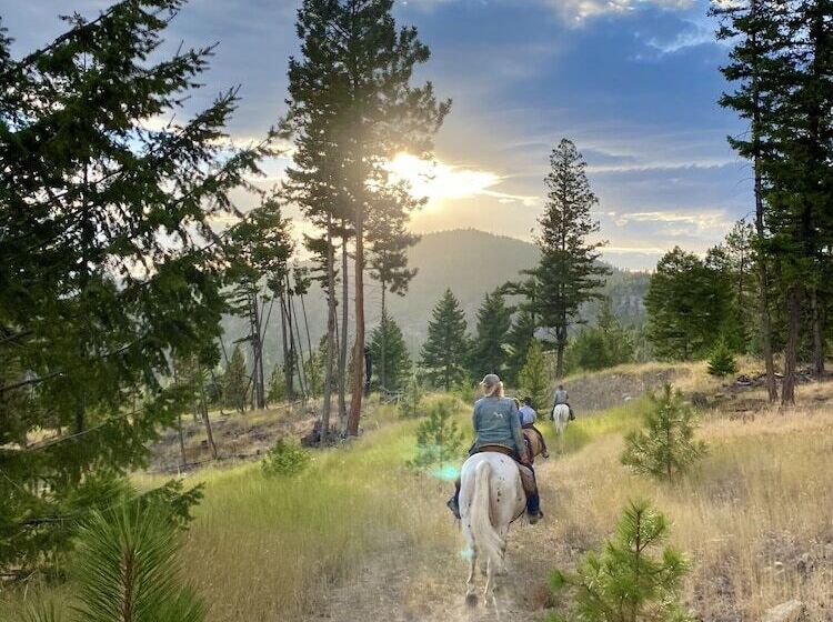 בית מלון כפרי Dream Haven Guest Ranch
