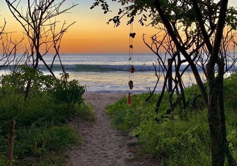 هتل El Manglar