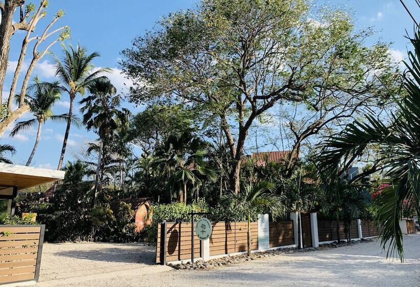 هتل El Manglar